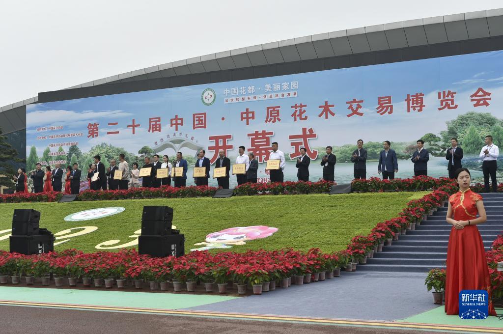 万濠国际
